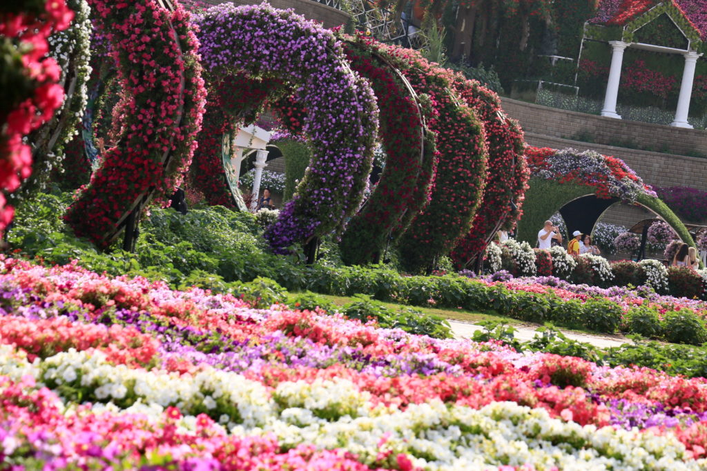 Парк цветов Dubai Miracle Garden