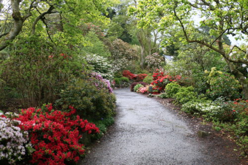 Боднант Гарден National Trust - Bodnant Garden
