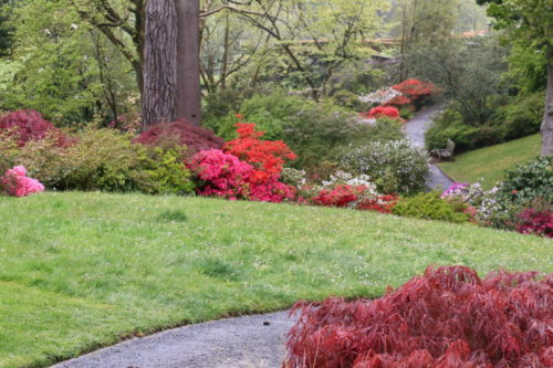 Боднант Гарден National Trust - Bodnant Garden